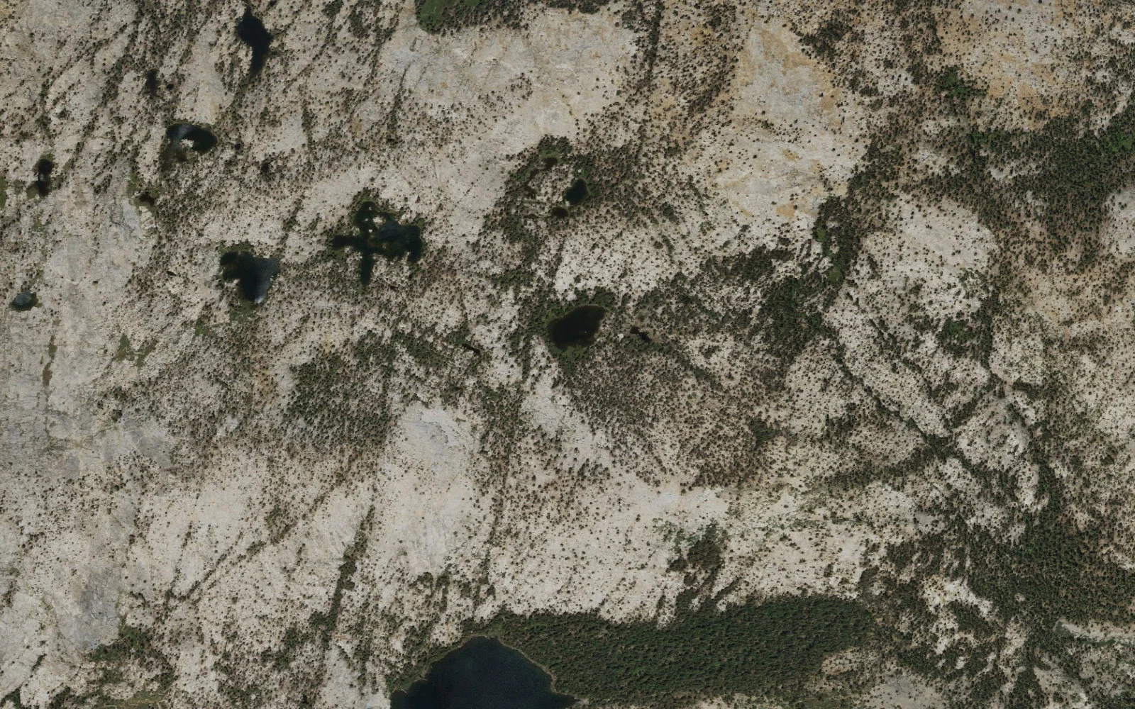 Aerial view centered on Flat Lake camp area