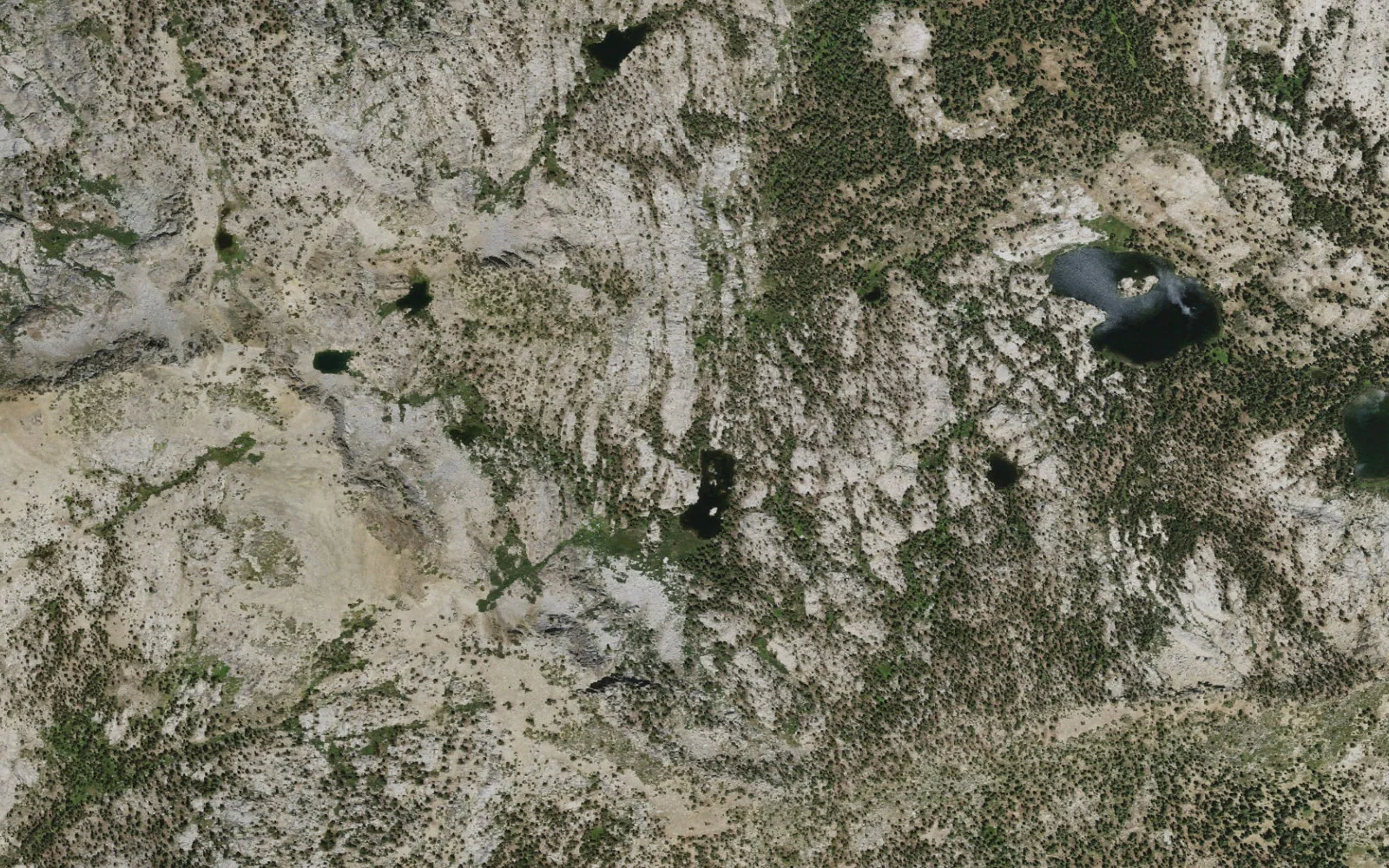 Aerial view centered on George Lake camp area