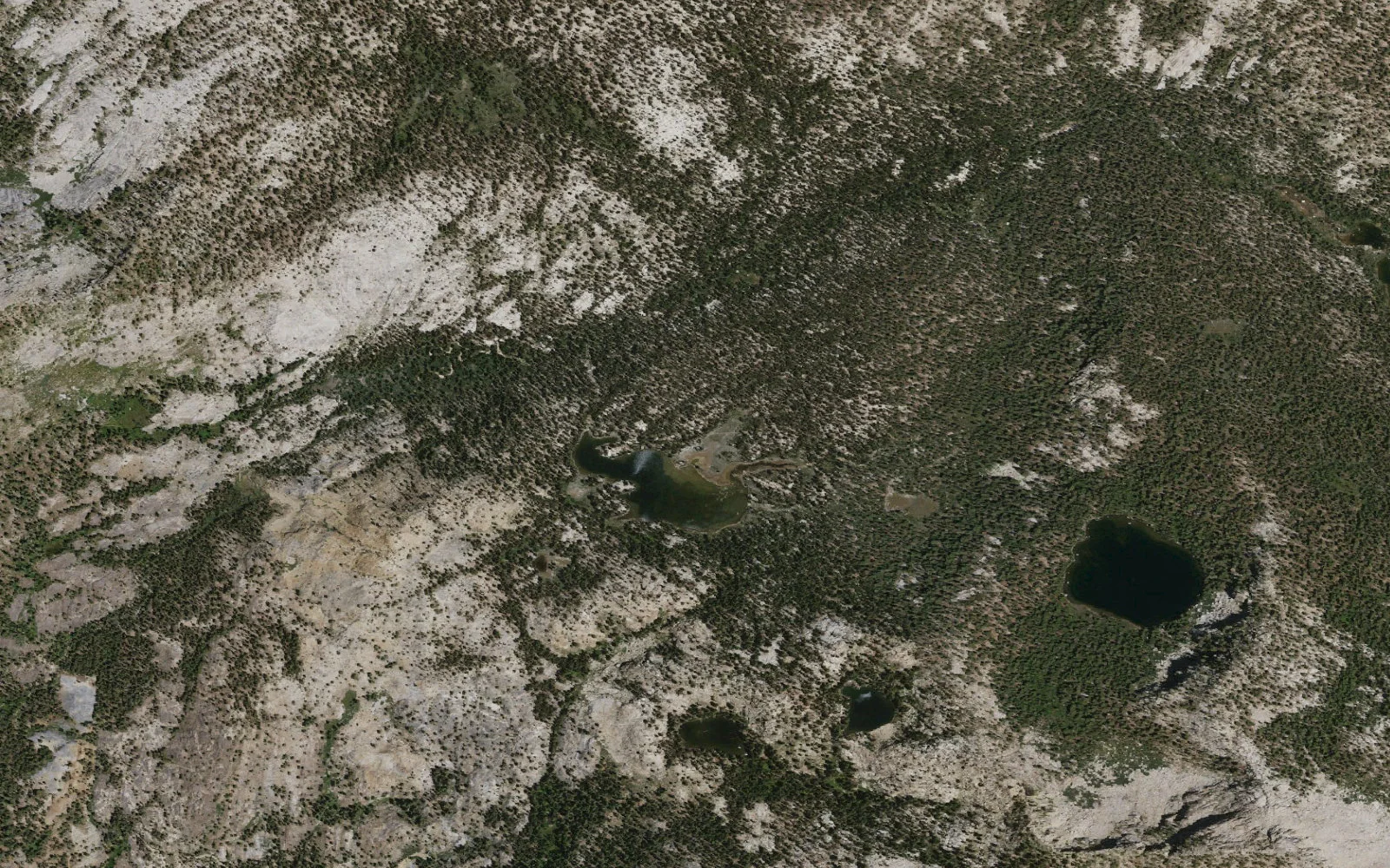 Aerial view centered on Mystery Lake camp area