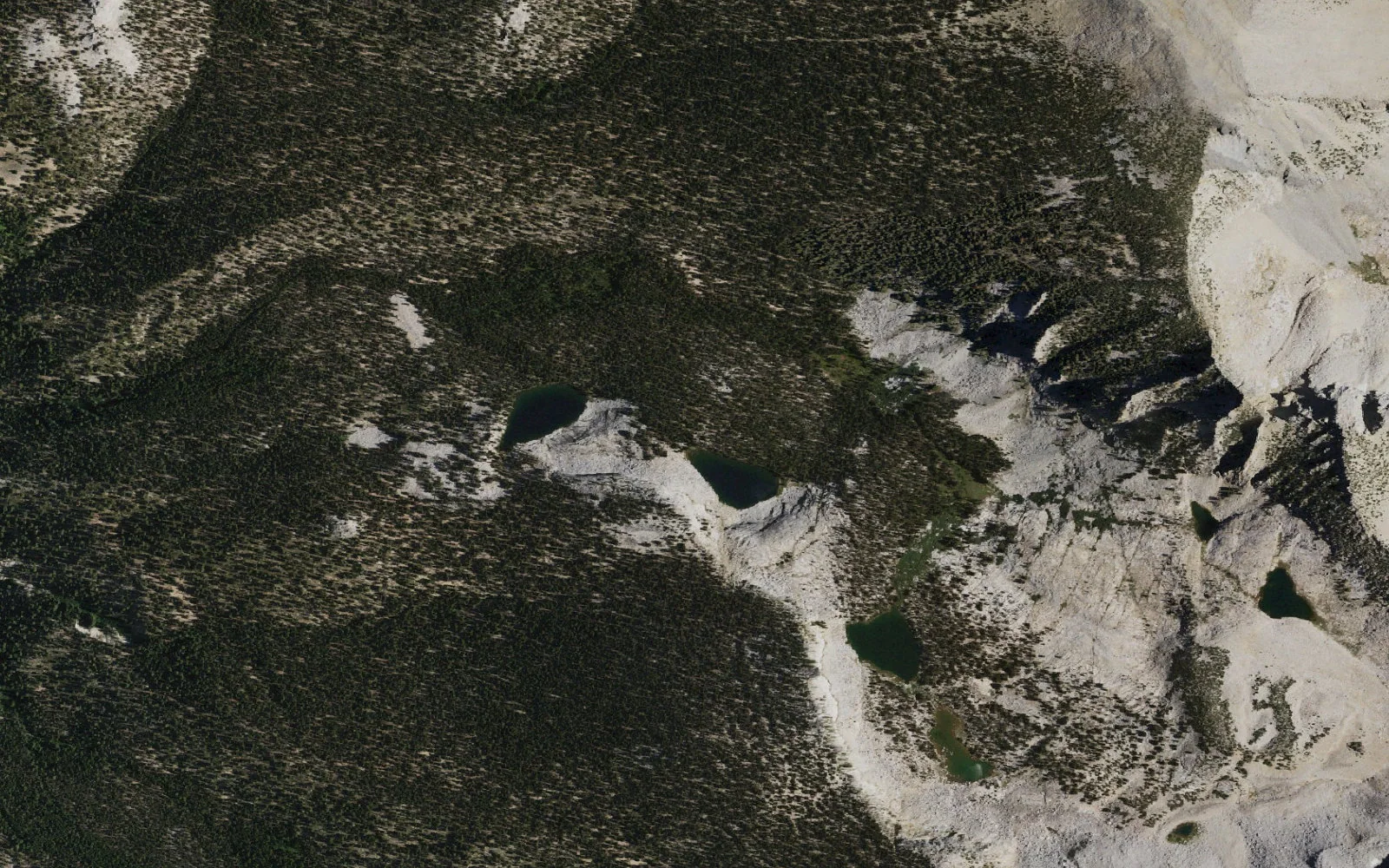 Aerial view centered on Neil Lake camp area