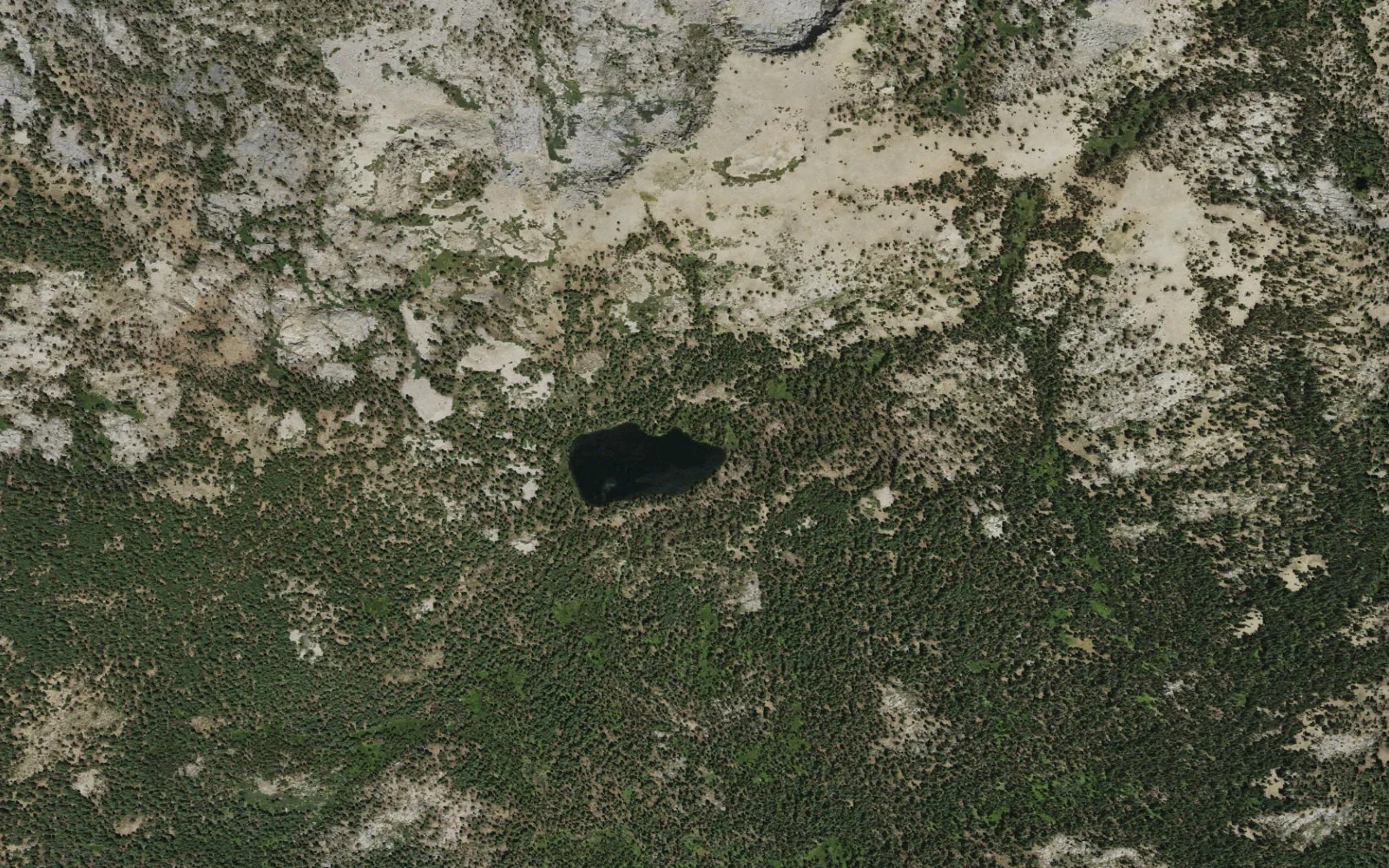 Aerial view centered on Nellie Lake camp area