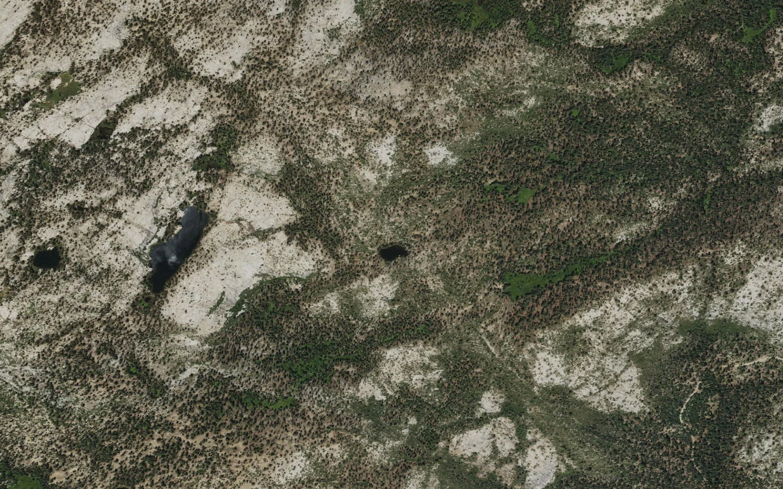 Aerial view centered on Norris Lake camp area