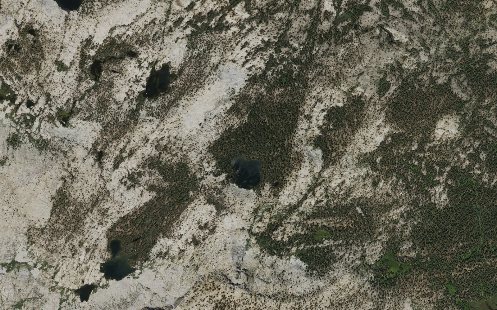 Aerial view centered on Vanderburgh Lake camp area