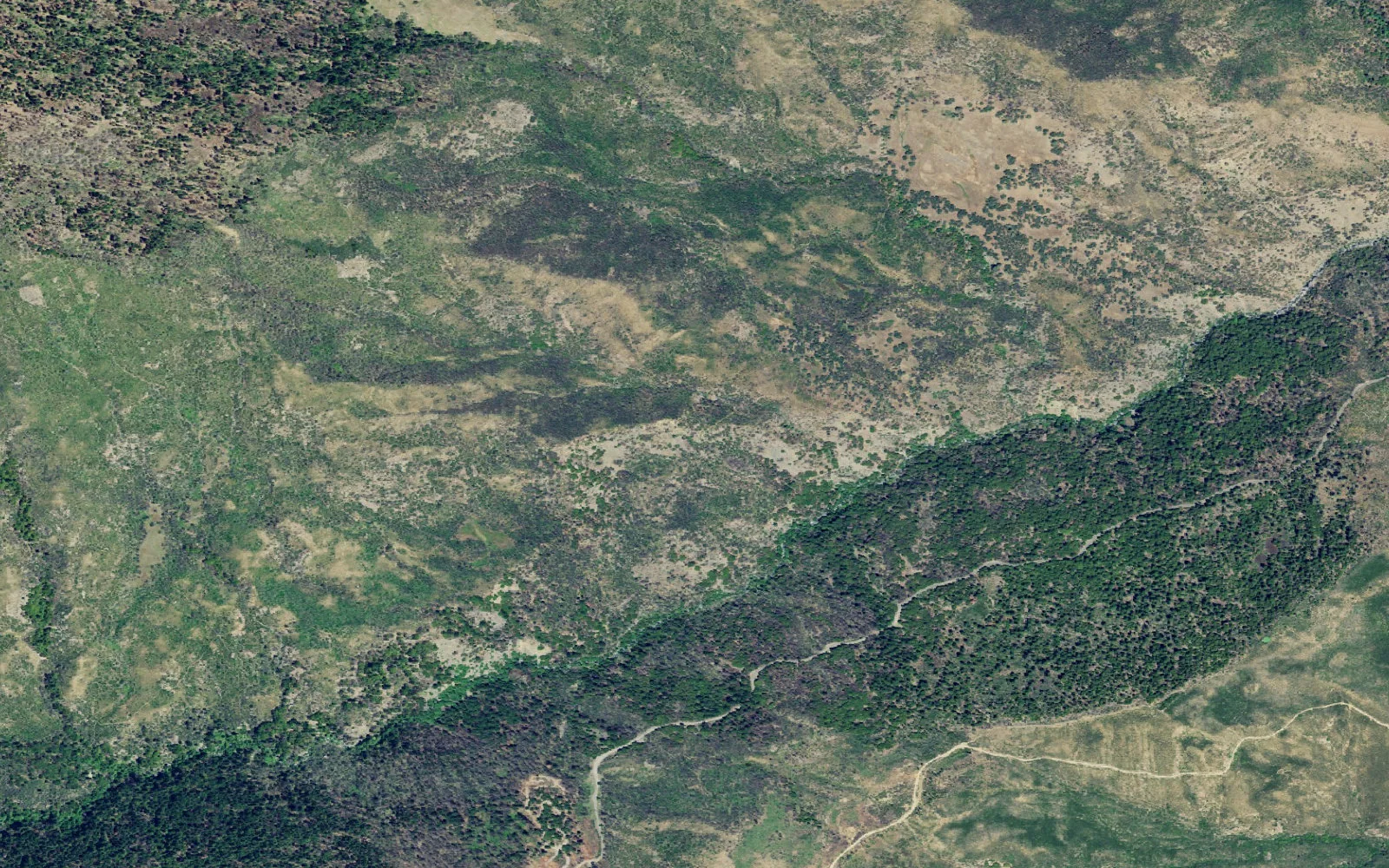Aerial view centered on Bathhouse Trail backcountry area camp area