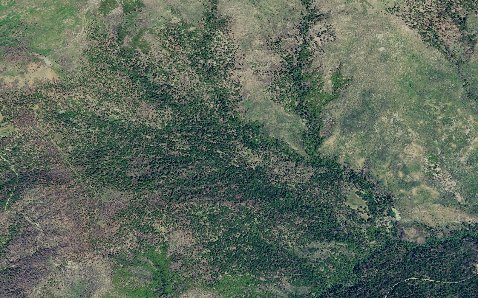 Aerial view centered on Deafy Glade Trail backcountry area camp area