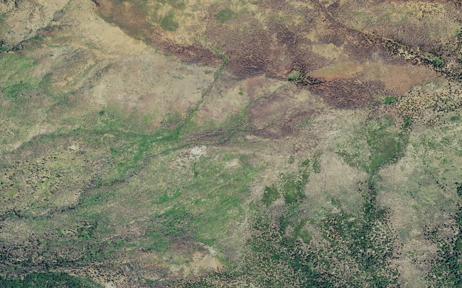 Aerial view centered on Summit Springs Trail backcountry area camp area