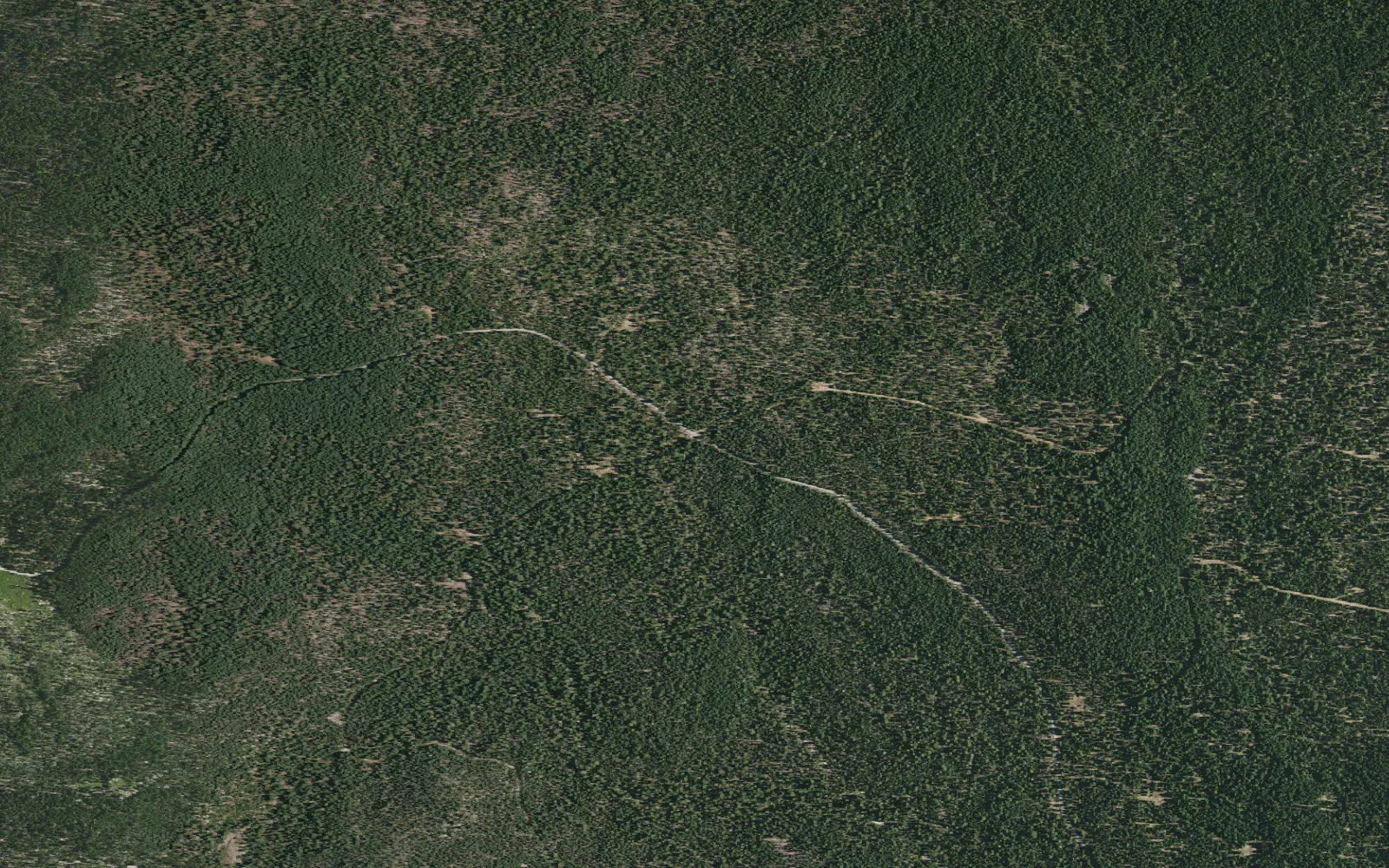 Aerial view centered on Bunchgrass Creek Backcountry Area camp area