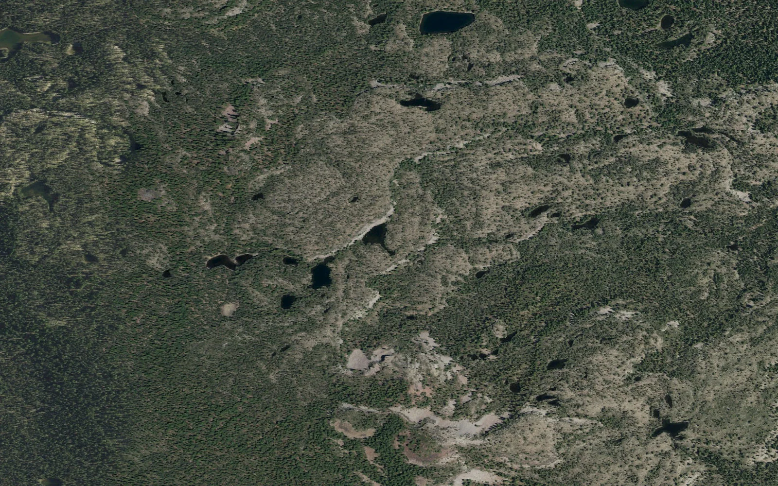 Aerial view centered on Cypress Lake camp area
