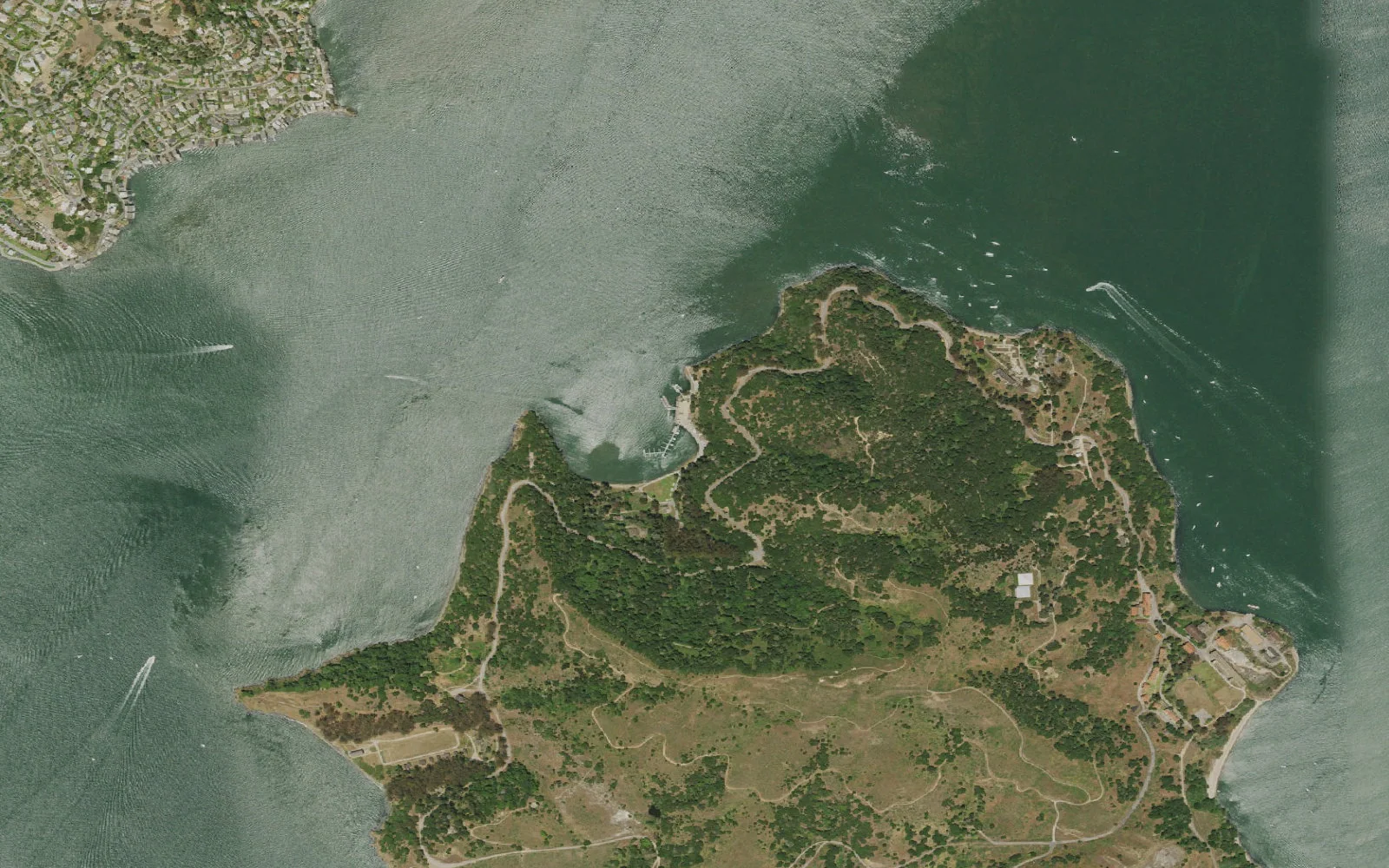 Aerial view centered on Ayala Cove Ferry Dock