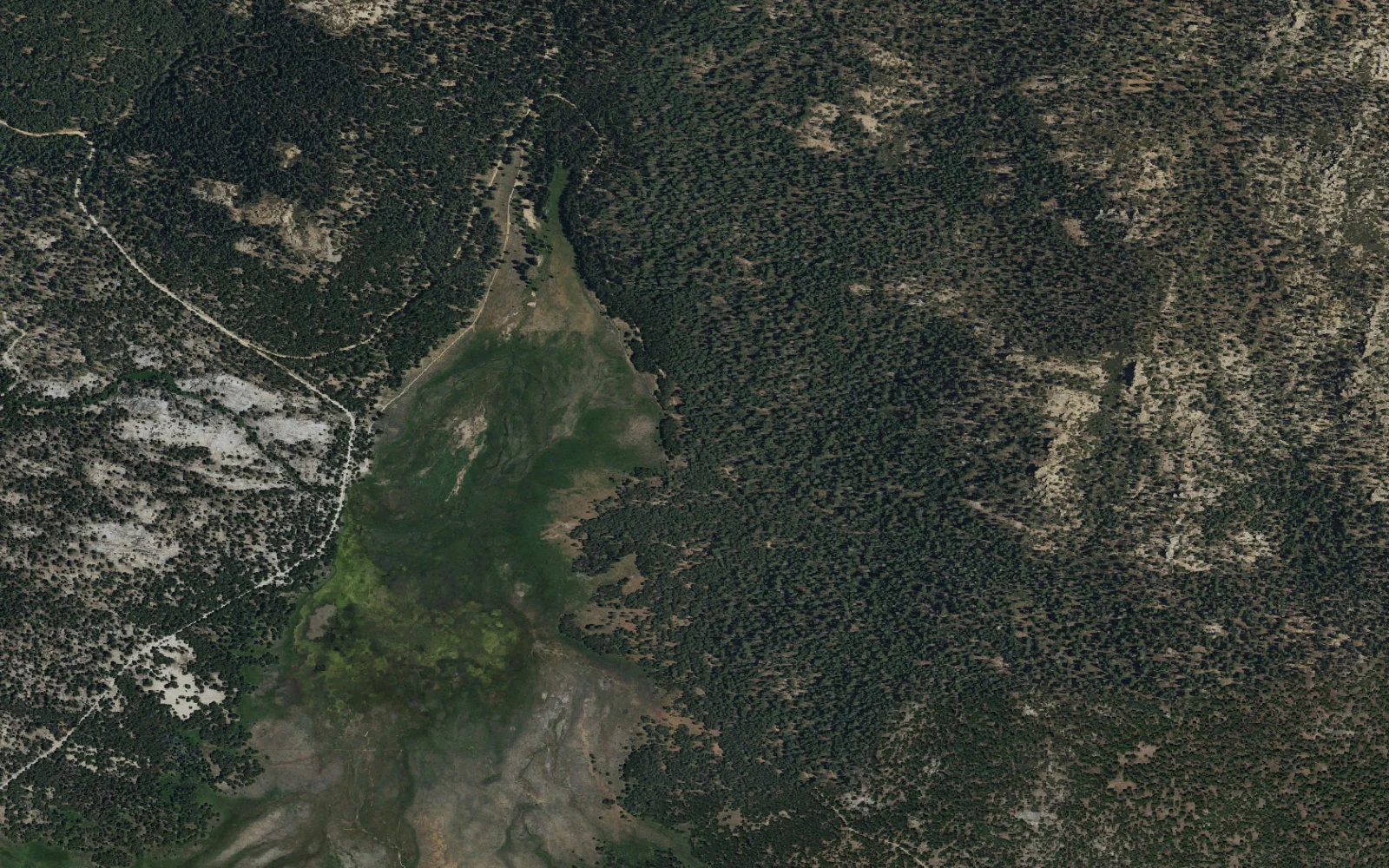 Aerial view centered on North Manter Meadow Trailhead