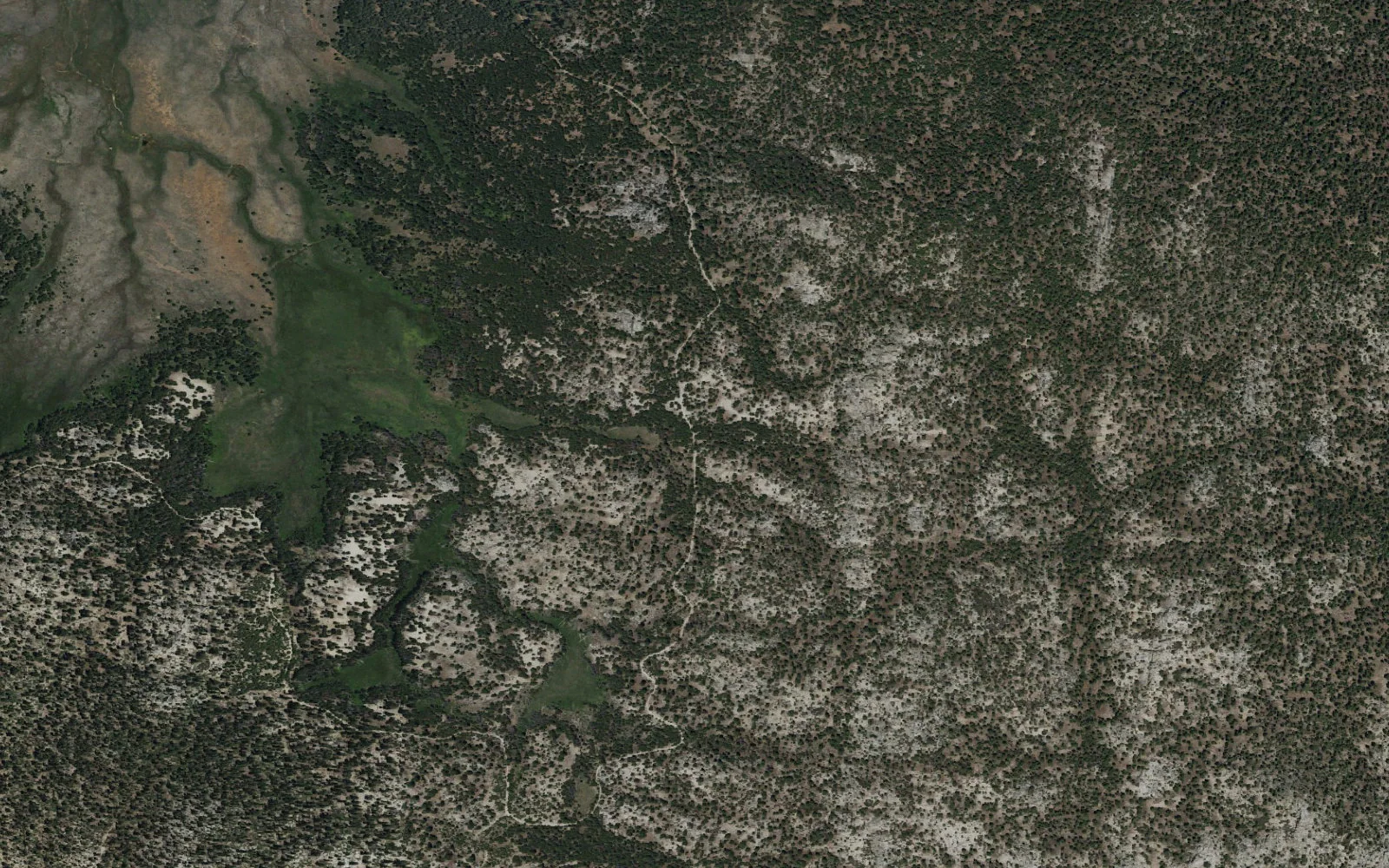 Aerial view centered on South Manter Meadow Trailhead