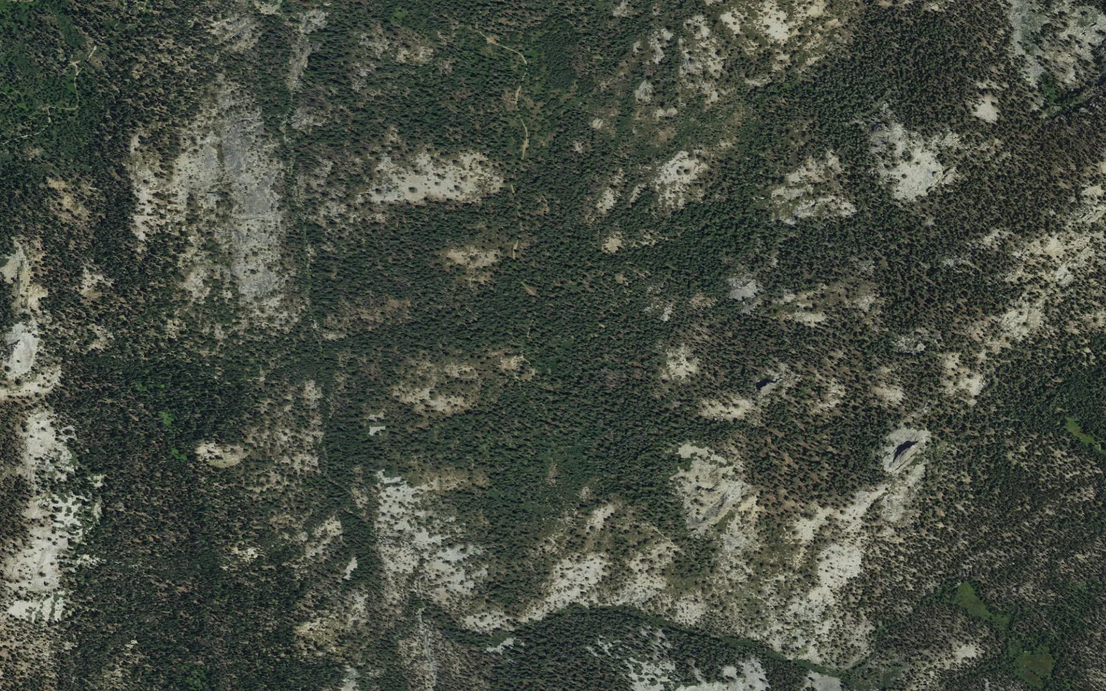 Aerial view centered on Rowell Meadow Trailhead