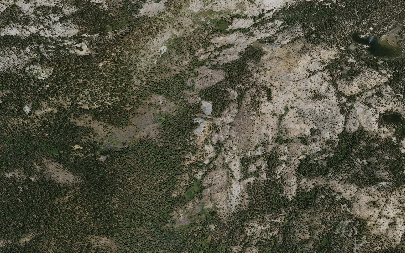 Aerial view centered on Willow Meadow/Dinkey Lake Trailhead