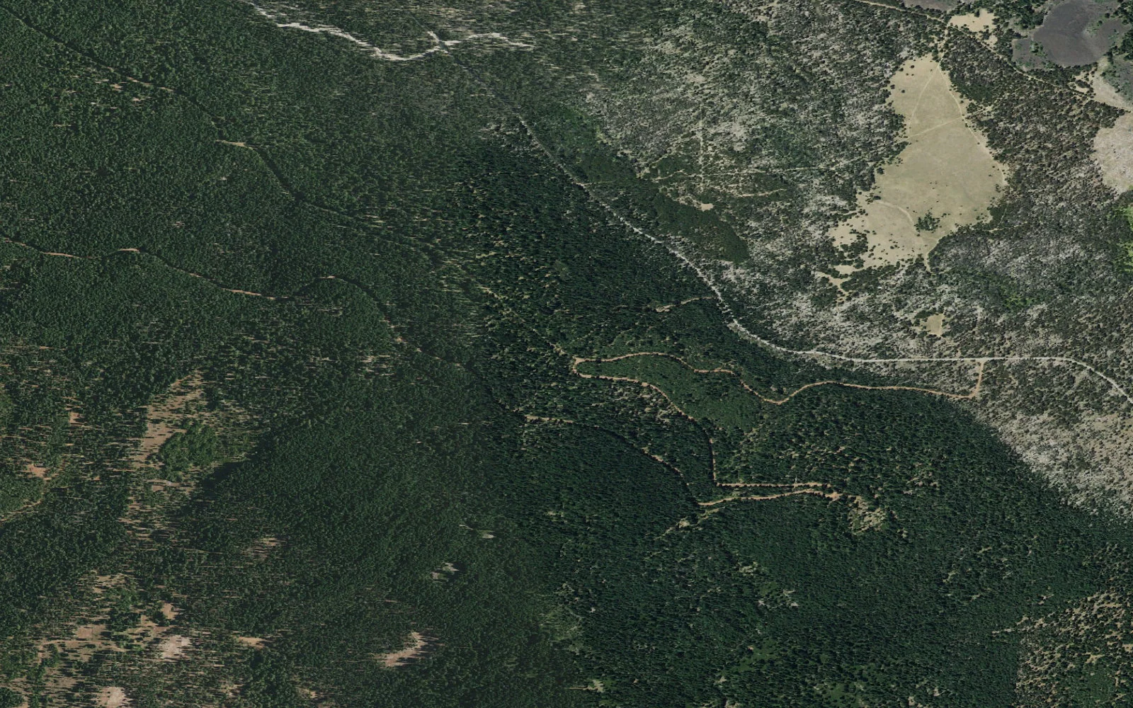 Aerial view centered on Bunchgrass Trailhead