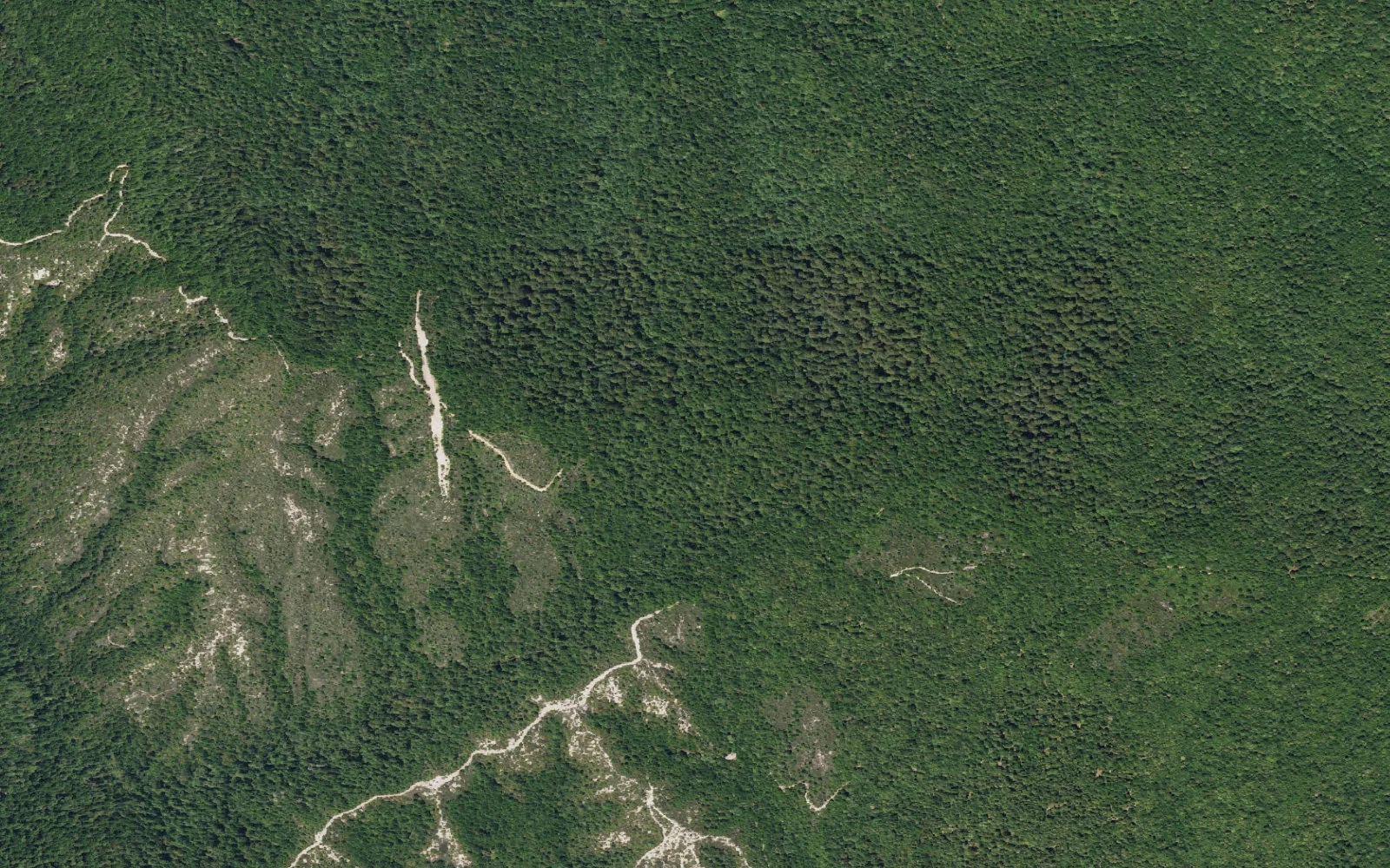 Aerial view centered on Butano Trail Camp