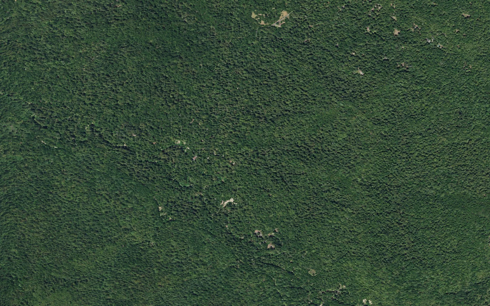 Aerial view centered on Old Tree Trailhead