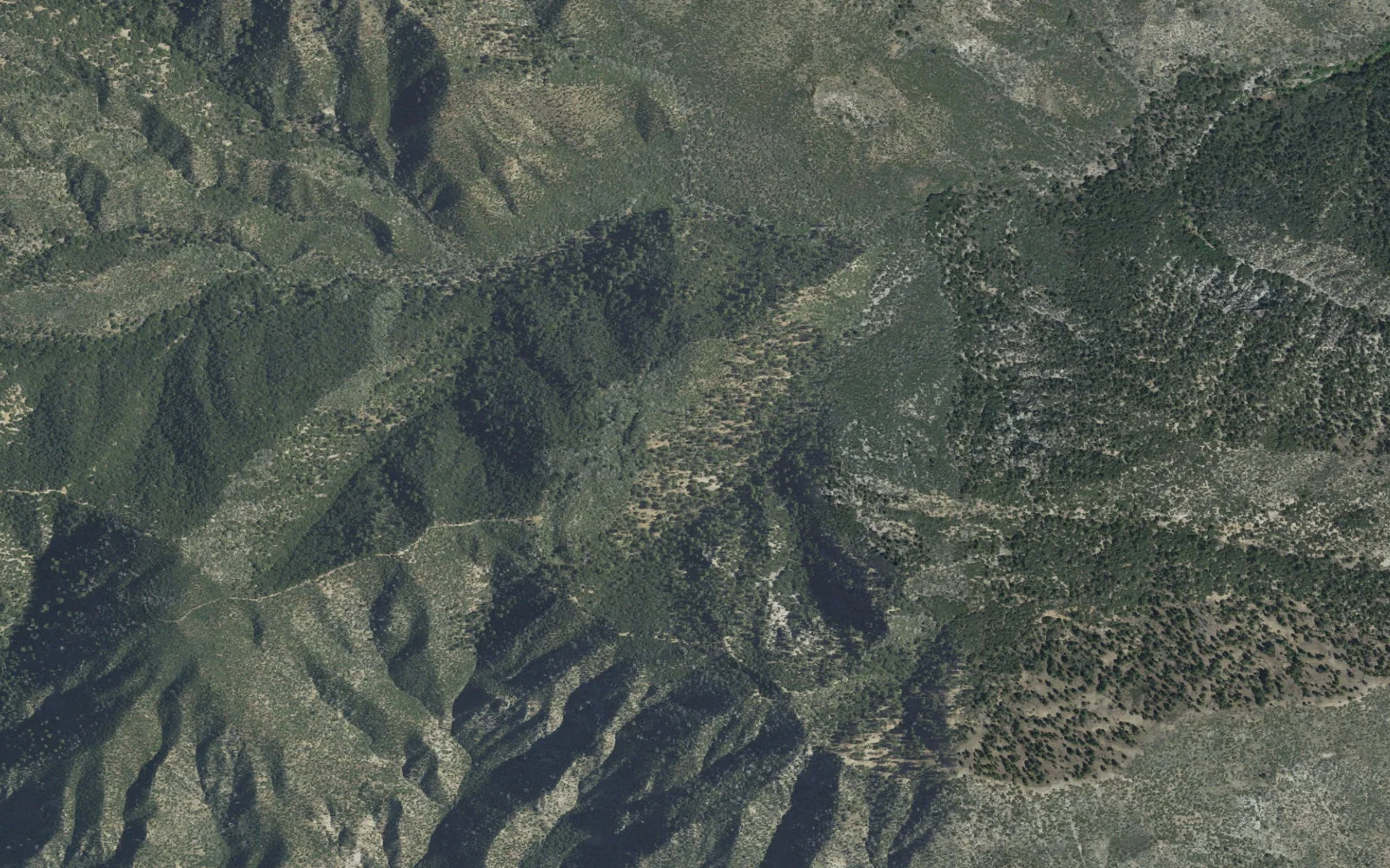 Aerial view centered on Buck Creek Camp