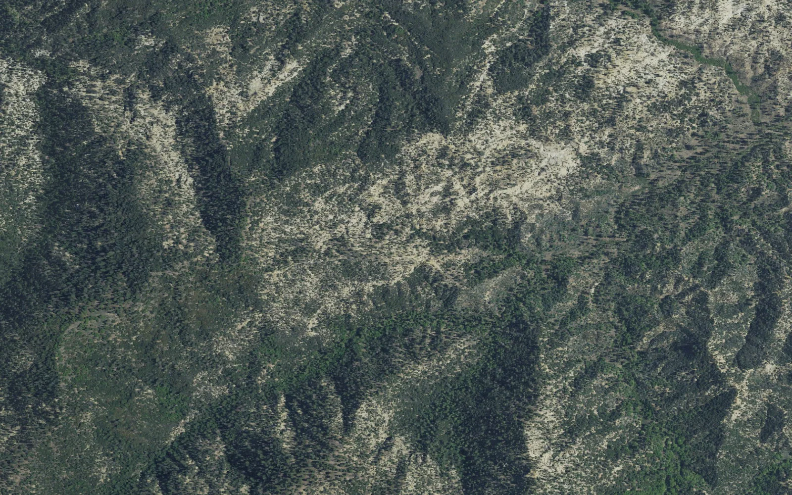 Aerial view centered on Cedar Creek Camp