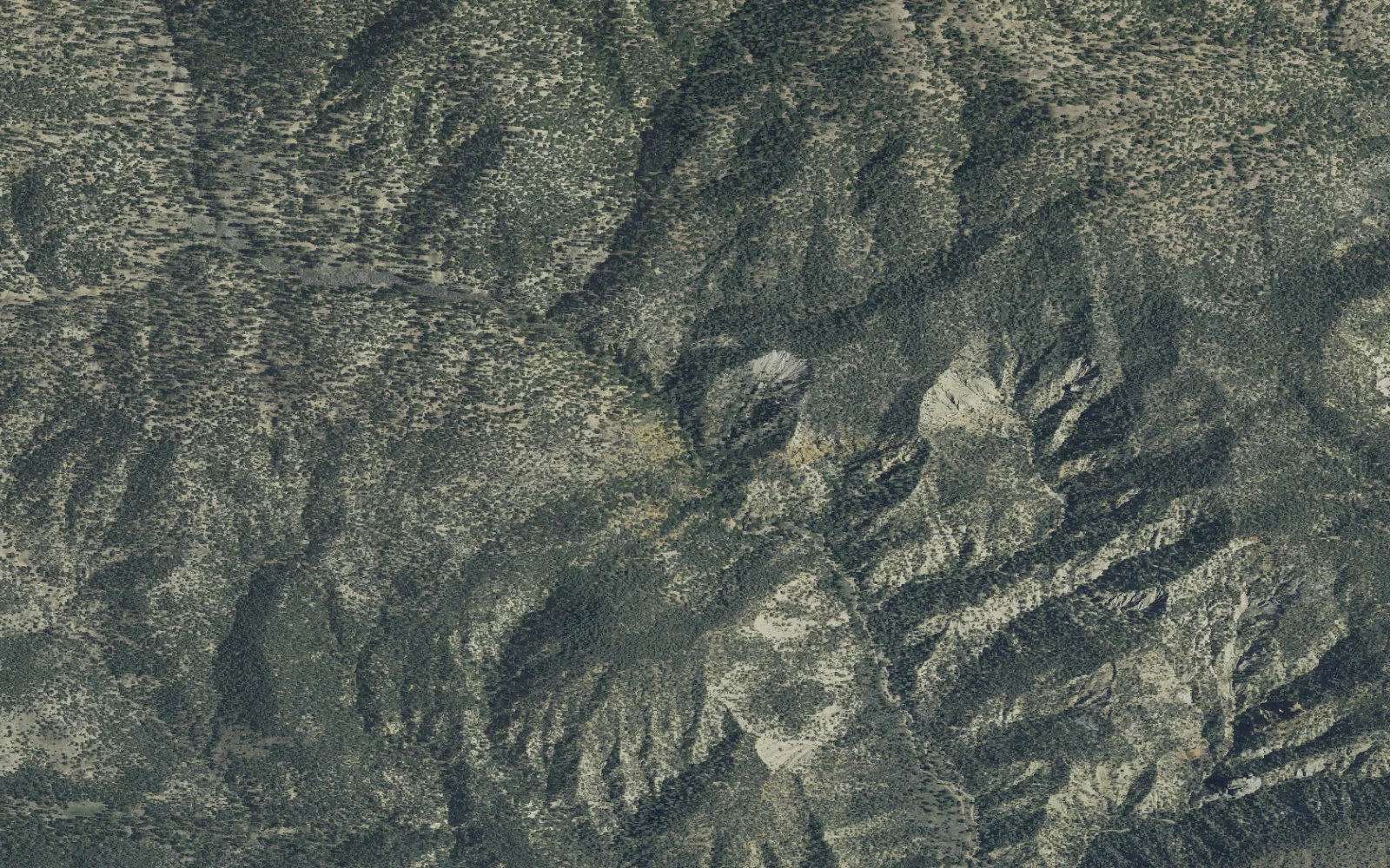 Aerial view centered on Lily Meadows Camp