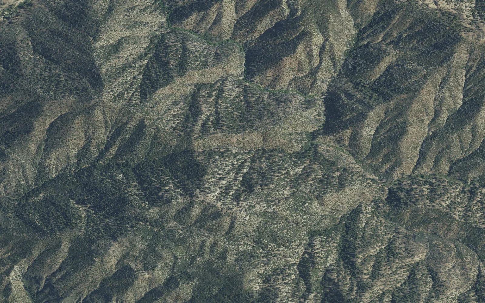 Aerial view centered on Little Mutau Camp