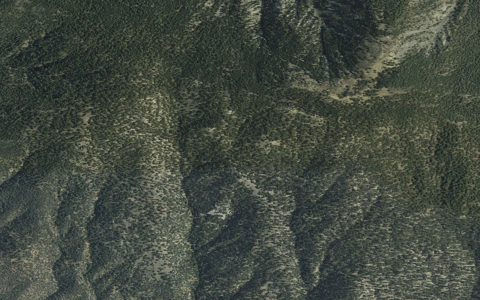 Aerial view centered on Sheep Camp