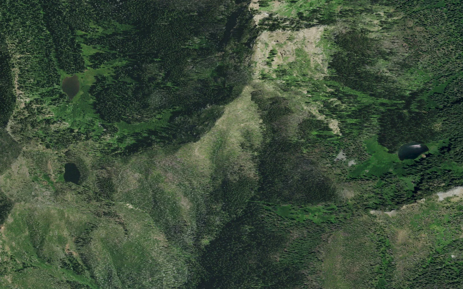 Aerial view centered on Let’er Buck Meadows camp area