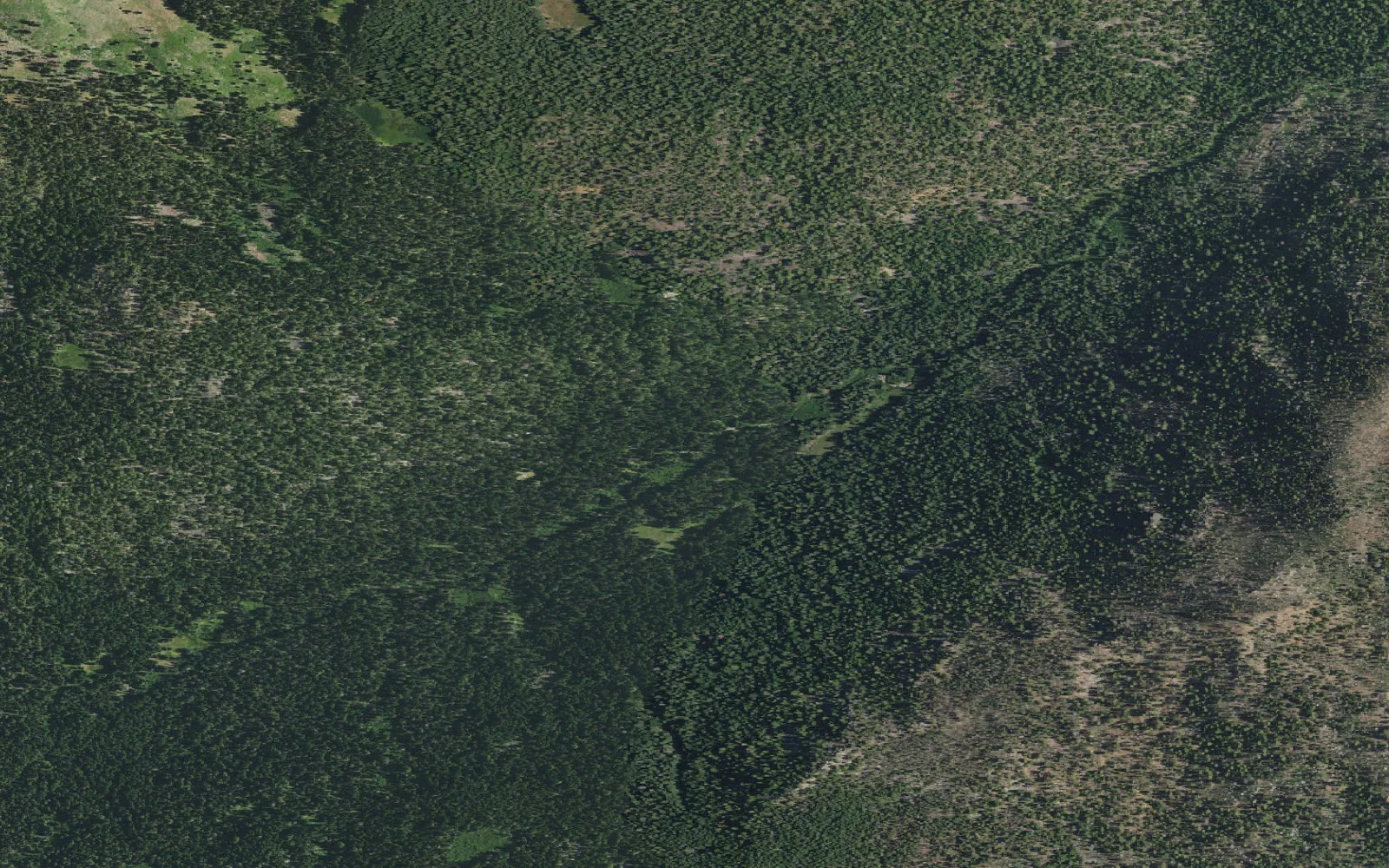 Aerial view centered on Log Lake camp area