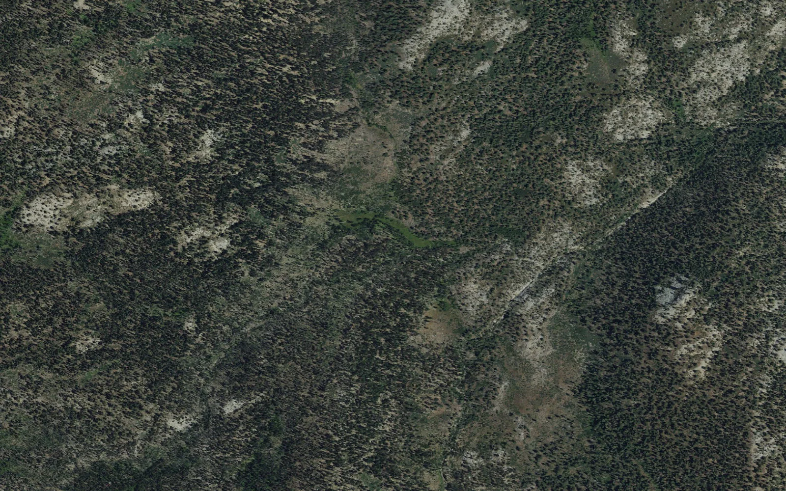 Aerial view centered on Comanche Meadow camp area