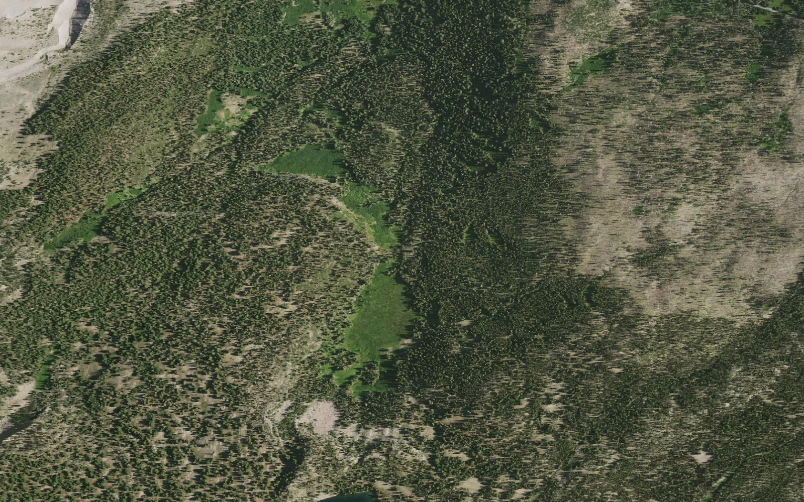 Aerial view centered on Paradise Meadow camp area