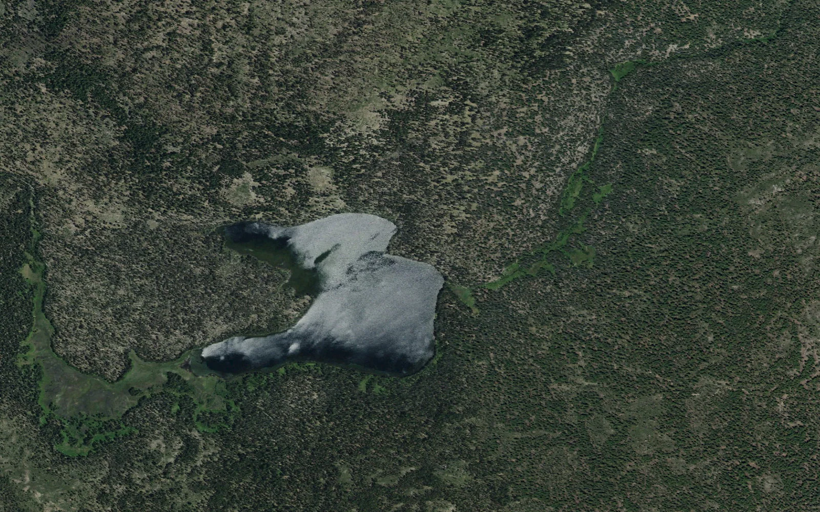 Aerial view centered on Horseshoe Lake camp area
