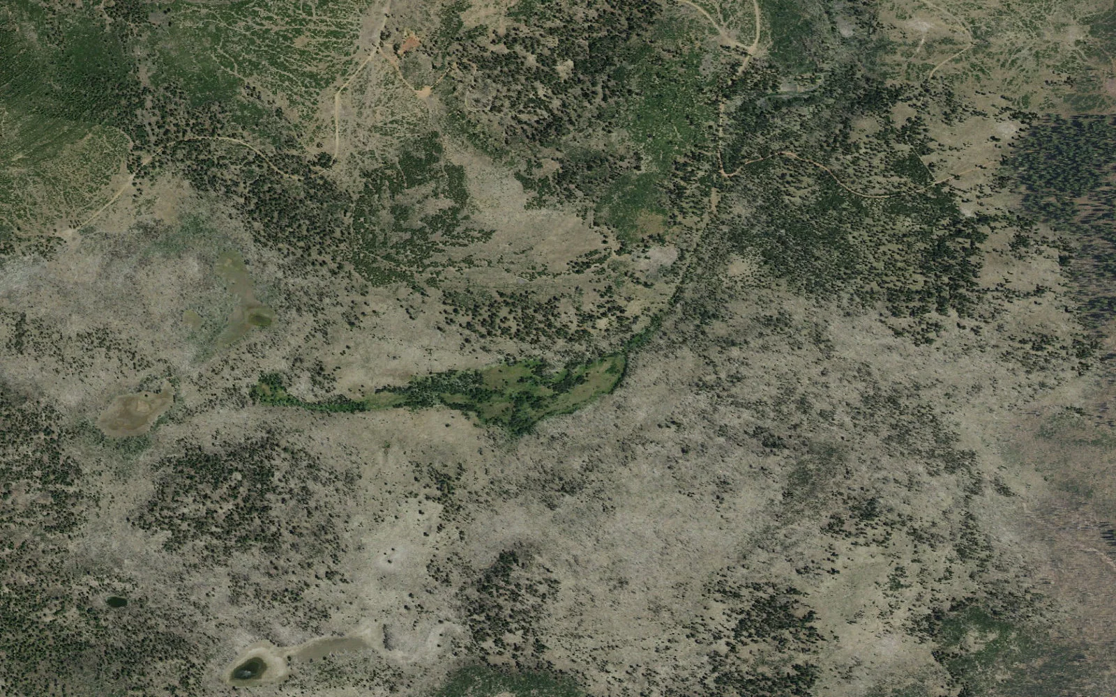 Aerial view centered on Badger Flat camp area