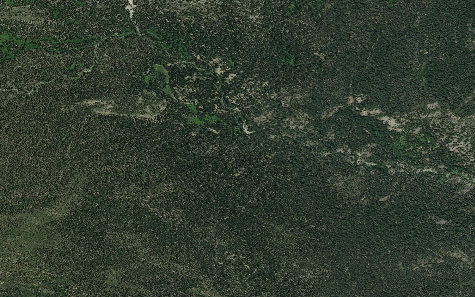 Aerial view centered on Corral Meadow camp area