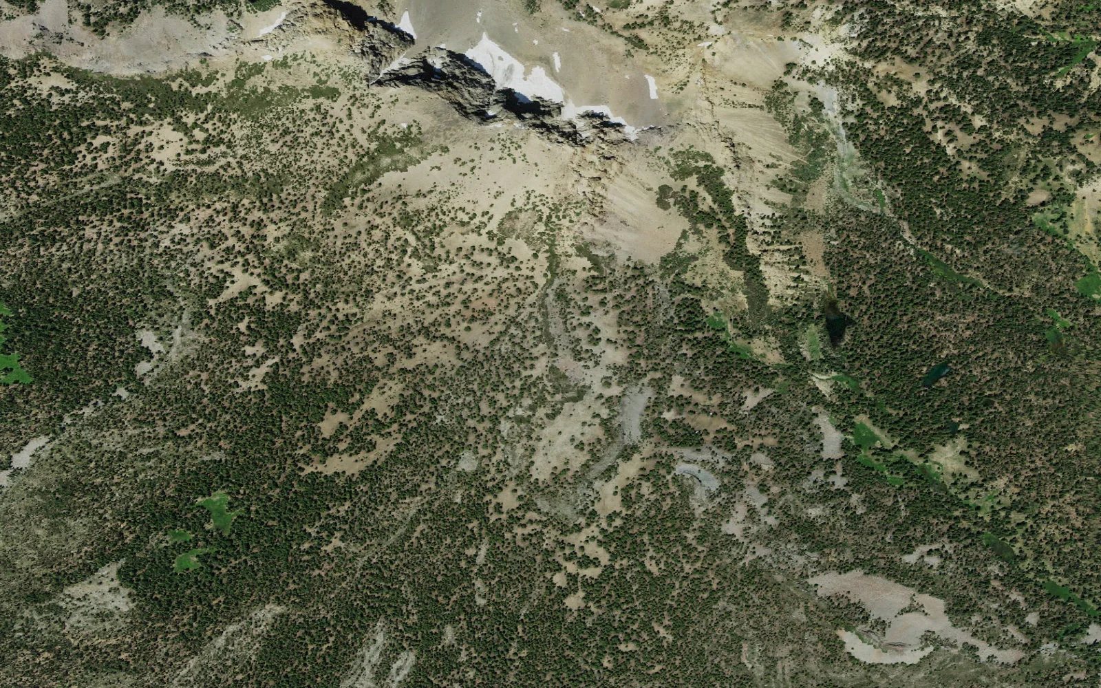 Aerial view centered on Twin Meadows camp area