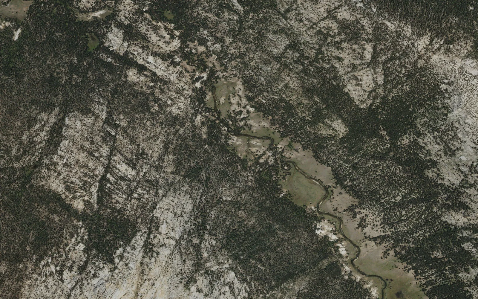 Aerial view centered on Lower Lyell Canyon camp area