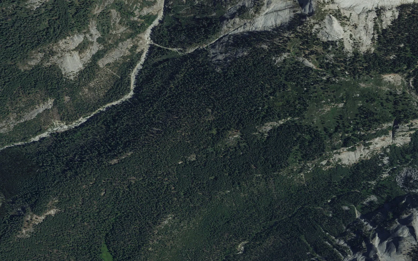 Aerial view centered on Bearpaw camp area