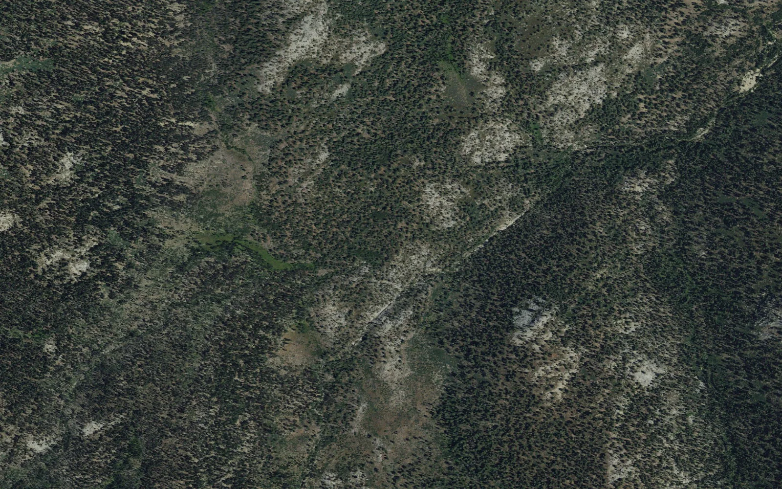 Aerial view centered on Belle Canyon camp area