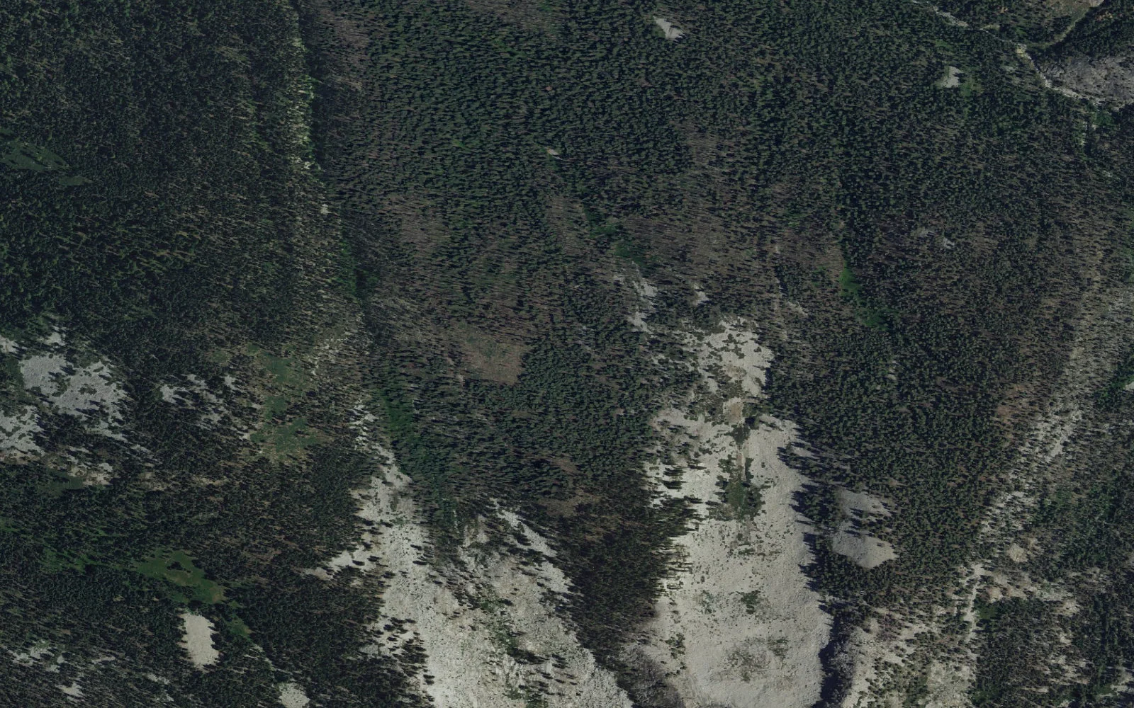 Aerial view centered on Deer Creek Camp