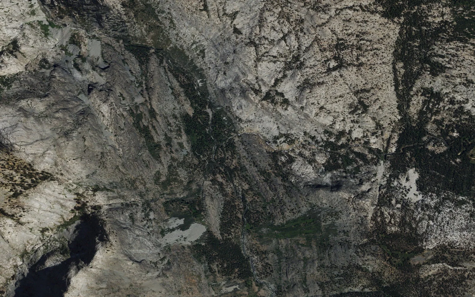 Aerial view centered on Evolution Valley camp area