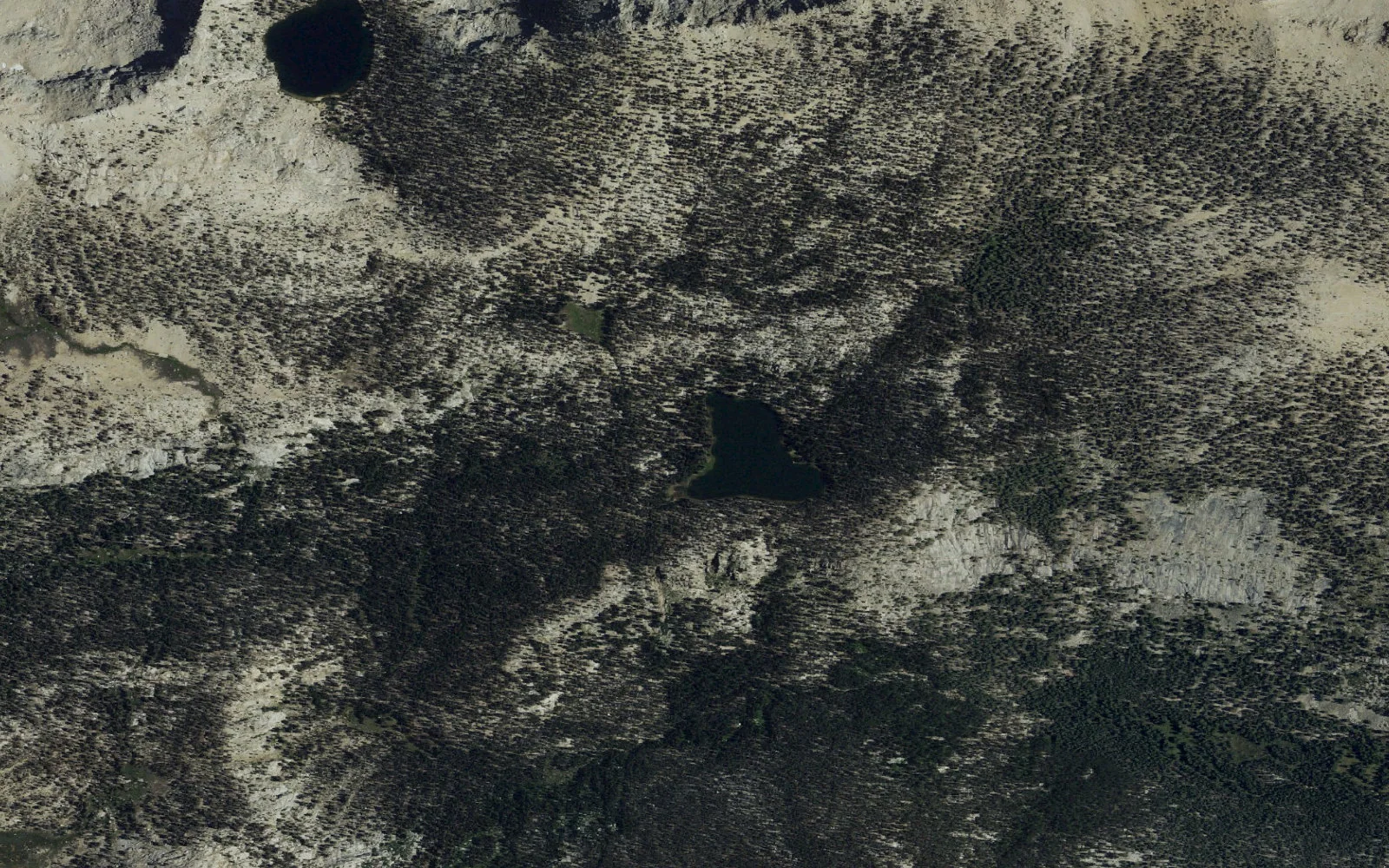 Aerial view centered on Forester Lake camp area
