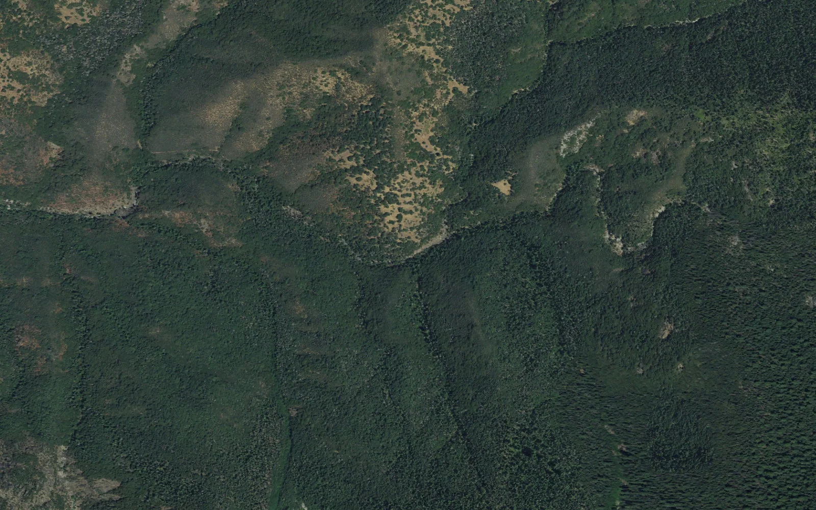 Aerial view centered on Lady Bug Camp