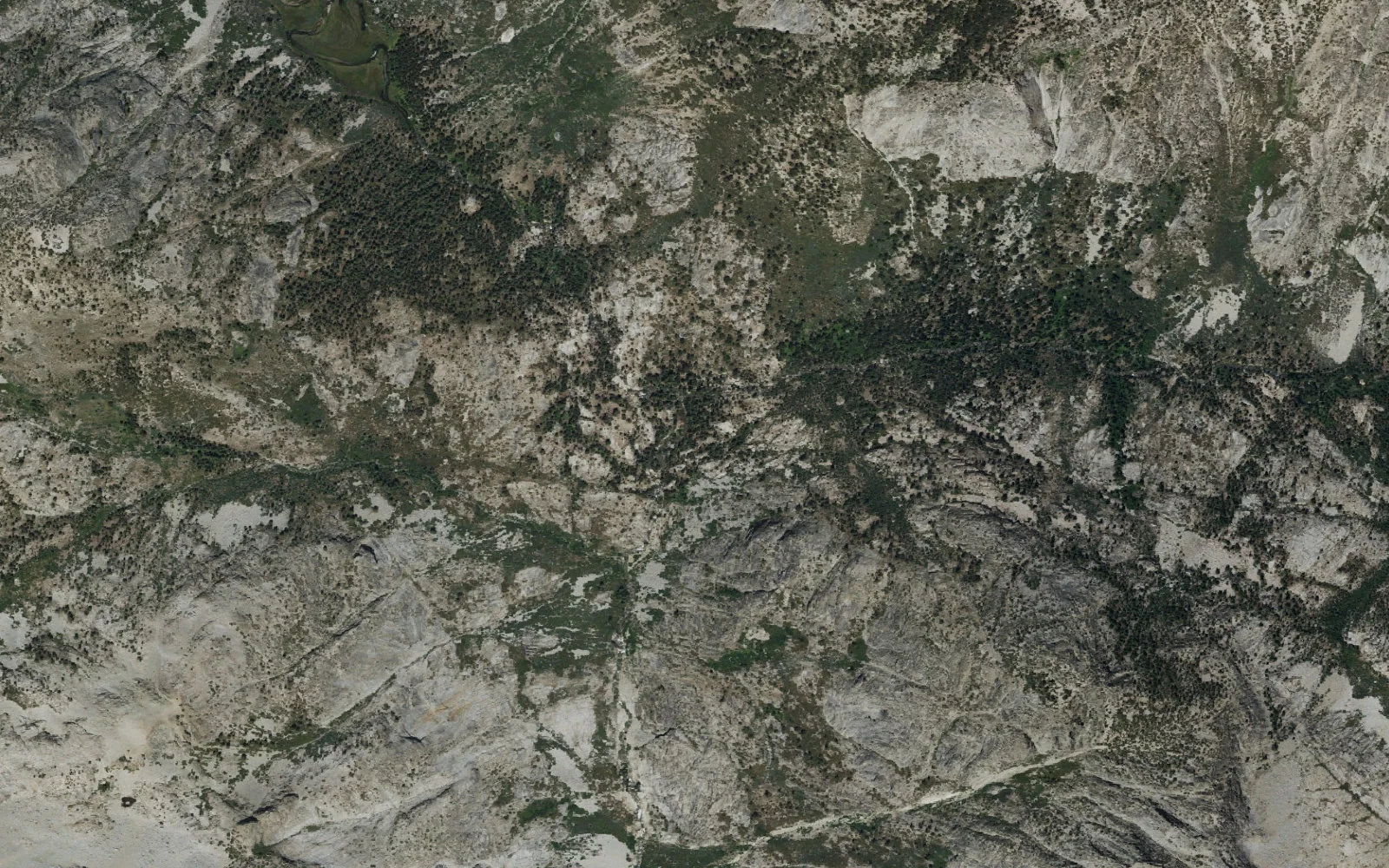 Aerial view centered on Le Conte Canyon camp area
