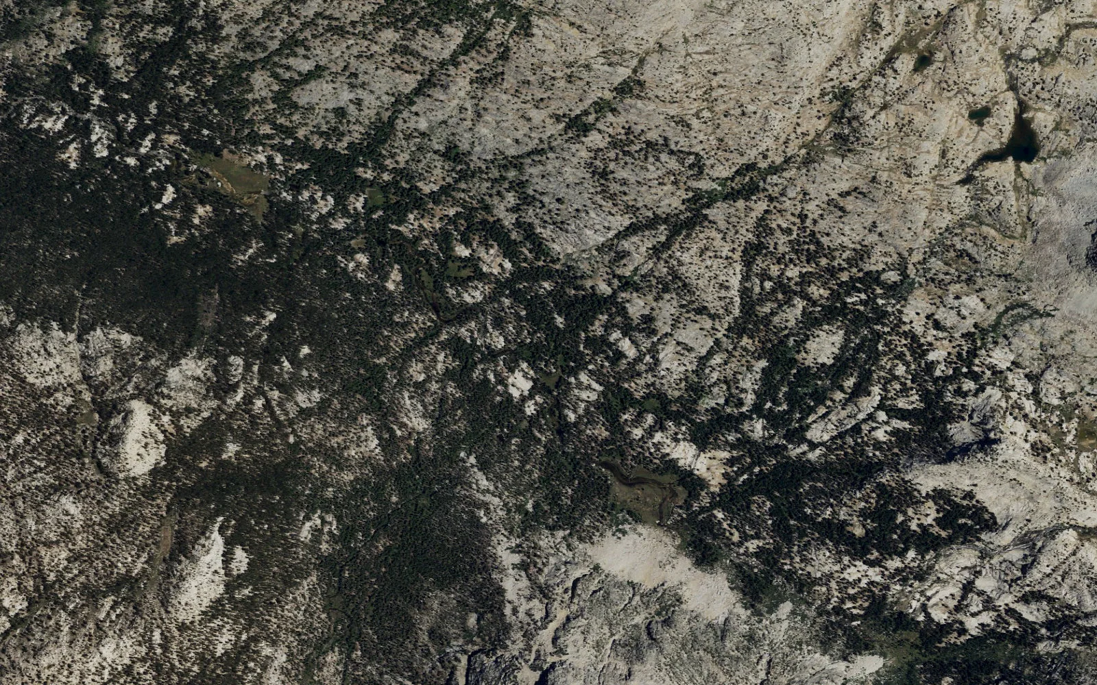Aerial view centered on McGee Canyon camp area