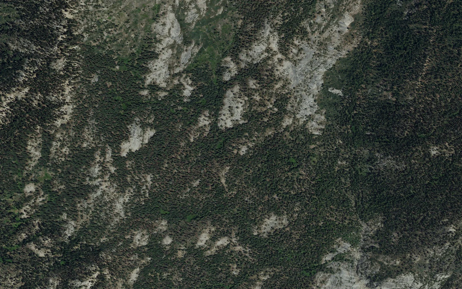 Aerial view centered on Randle Corral camp area