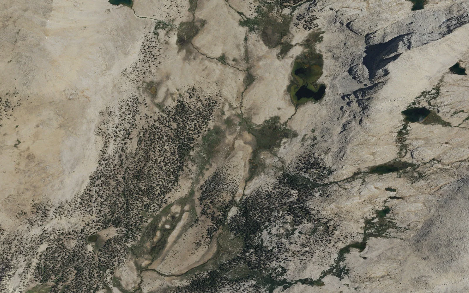 Aerial view centered on Wright Creek Basin camp area