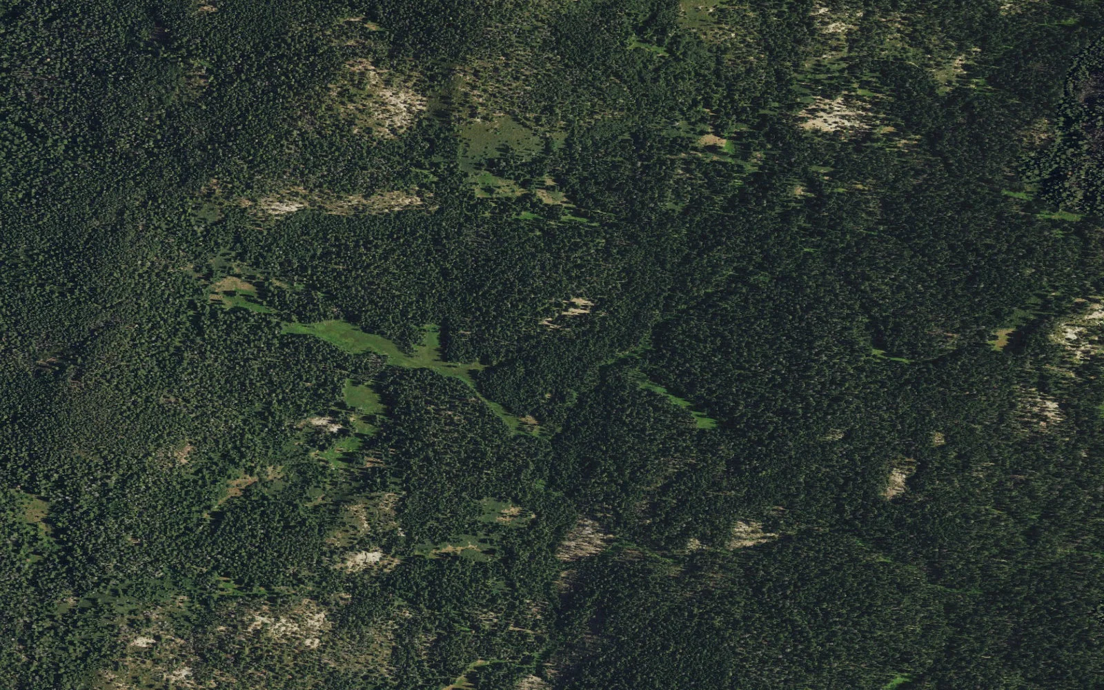 Aerial view centered on Alder Creek camp area