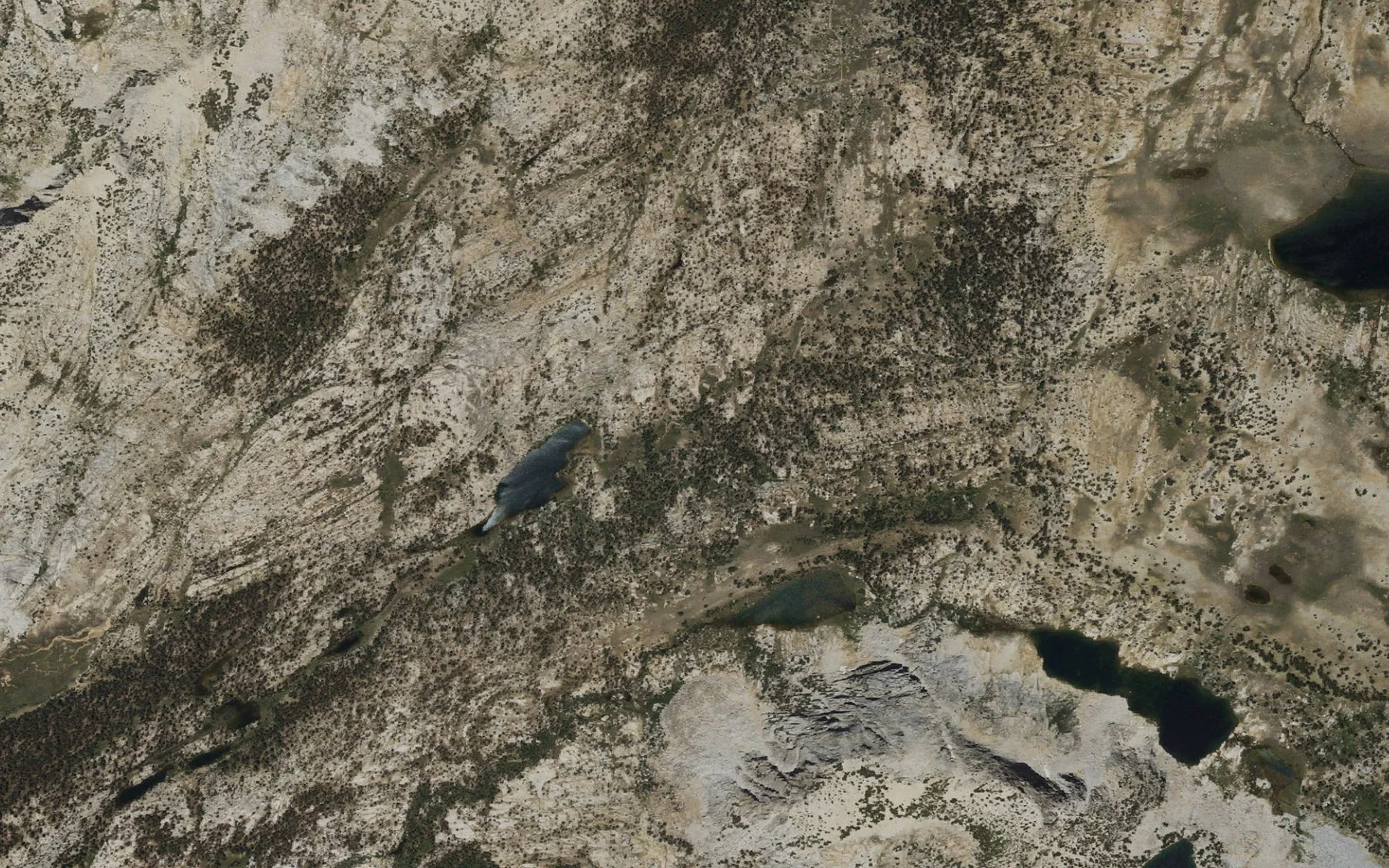 Aerial view centered on Boothe Lake camp area