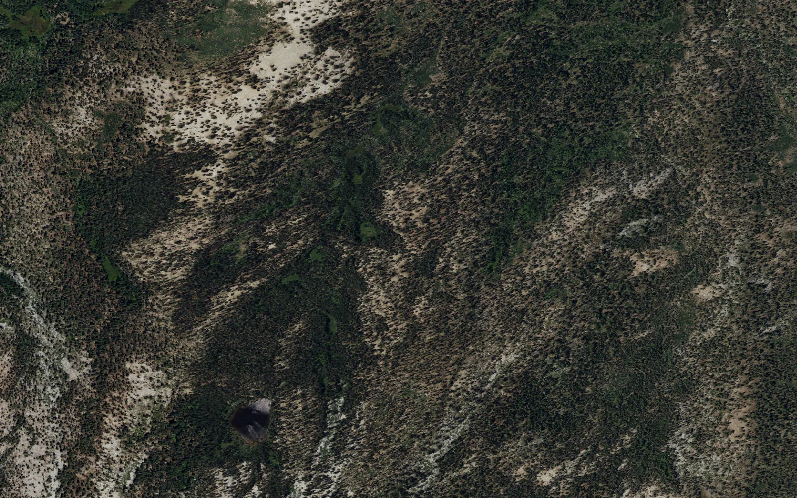 Aerial view centered on Buena Vista Creek camp area