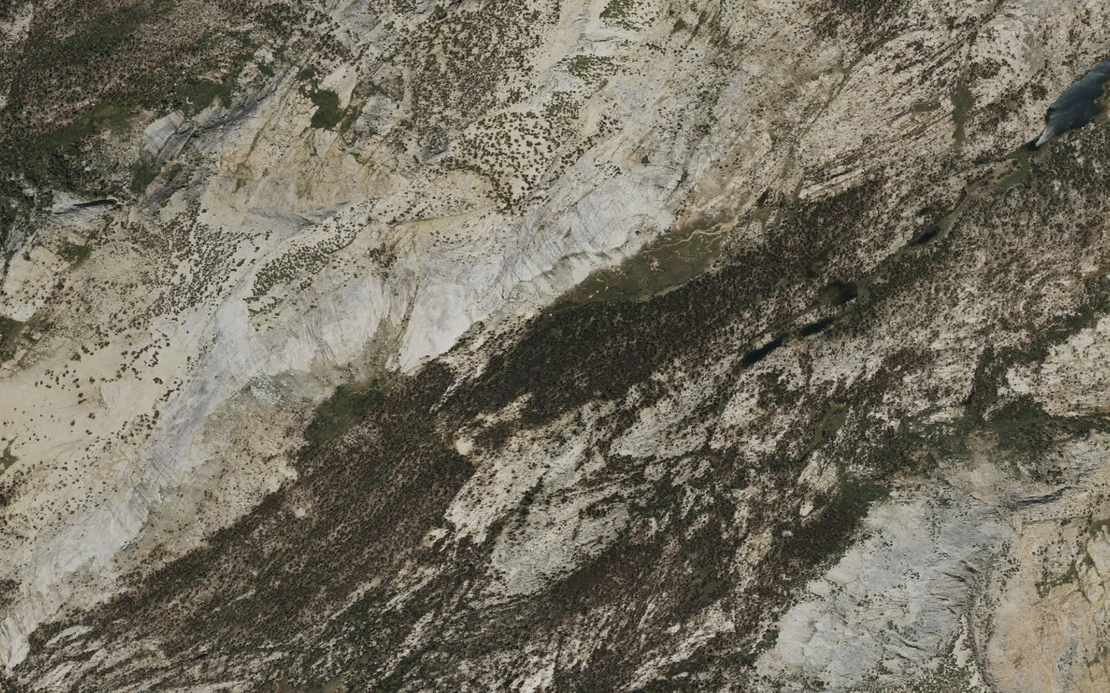 Aerial view centered on Emeric Creek camp area