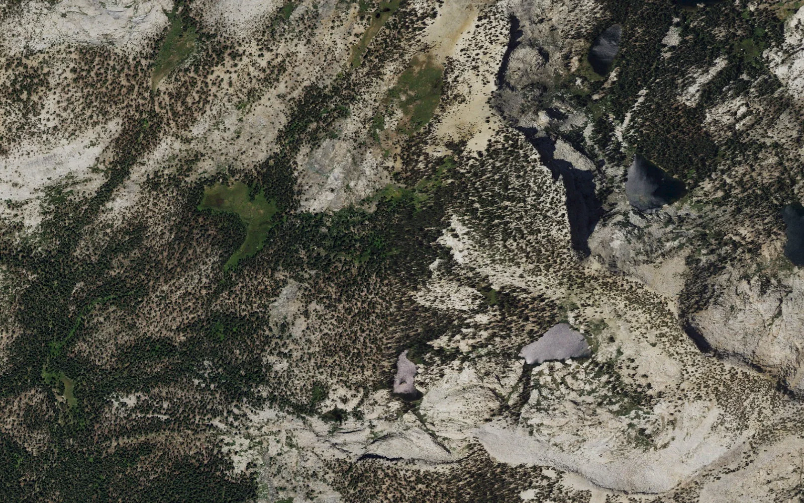 Aerial view centered on Grant Lakes camp area