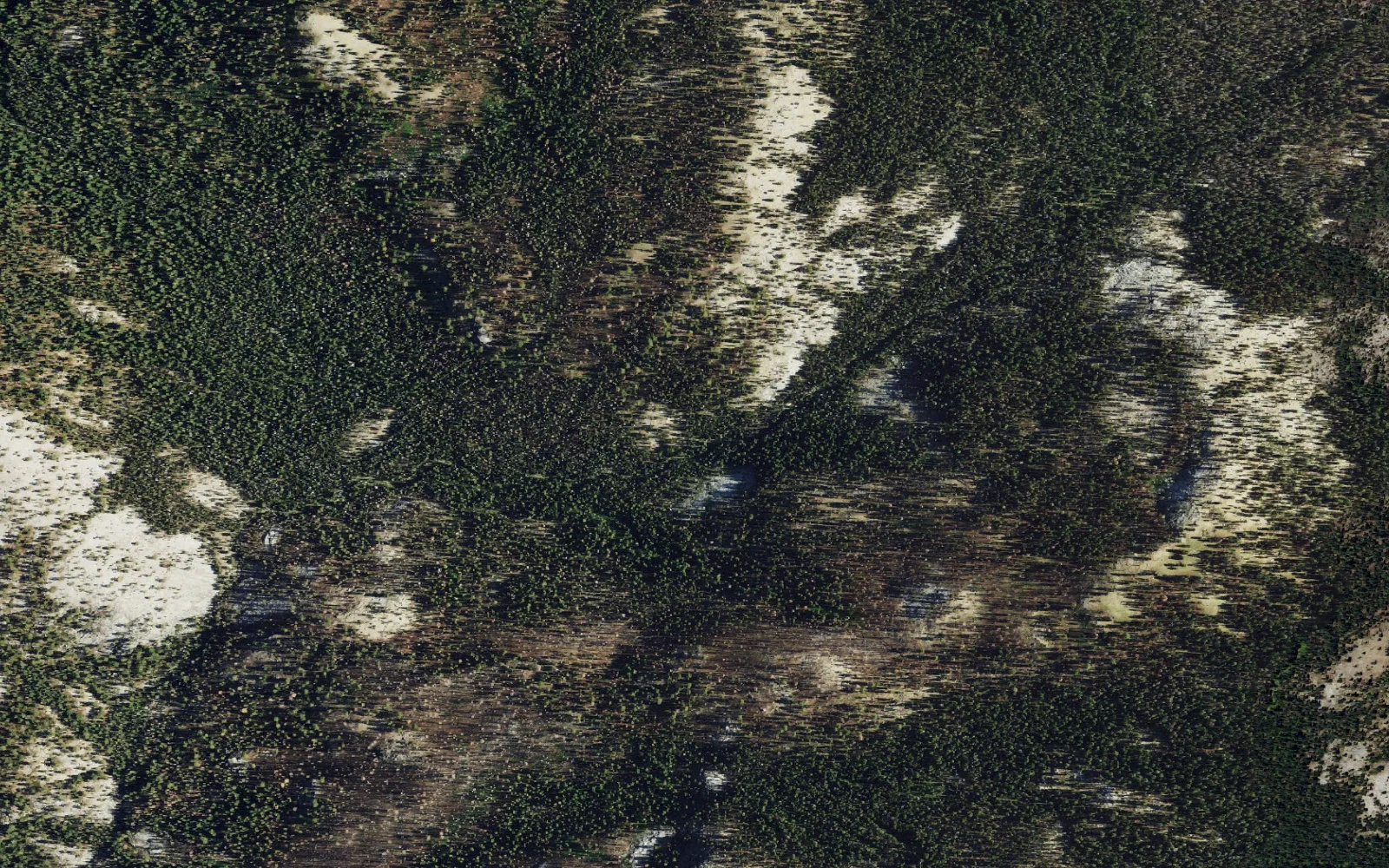 Aerial view centered on Grouse Lake camp area